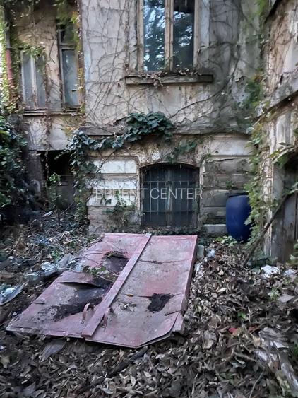 Proprietate exceptionala - Armeneasca - Cercului 2A - 3