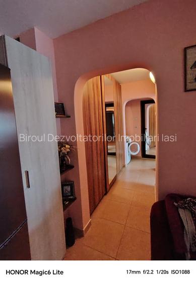 Apartament cu 3 camere, mobilat si utilat, etaj3/4, Pacurari, Centru, Copou - 8