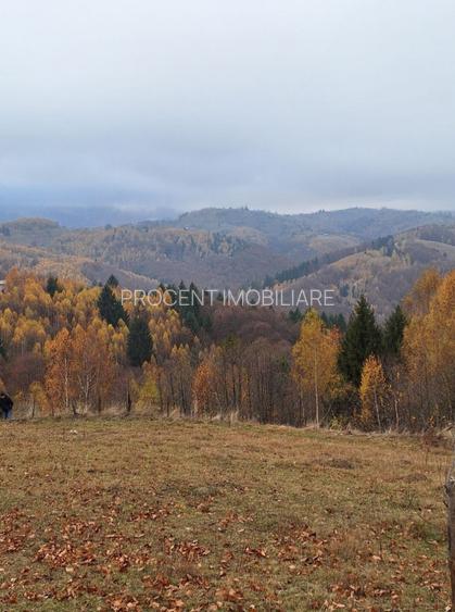 Oportunitate rara! Teren 7.283 mp, investitie garantata - 4