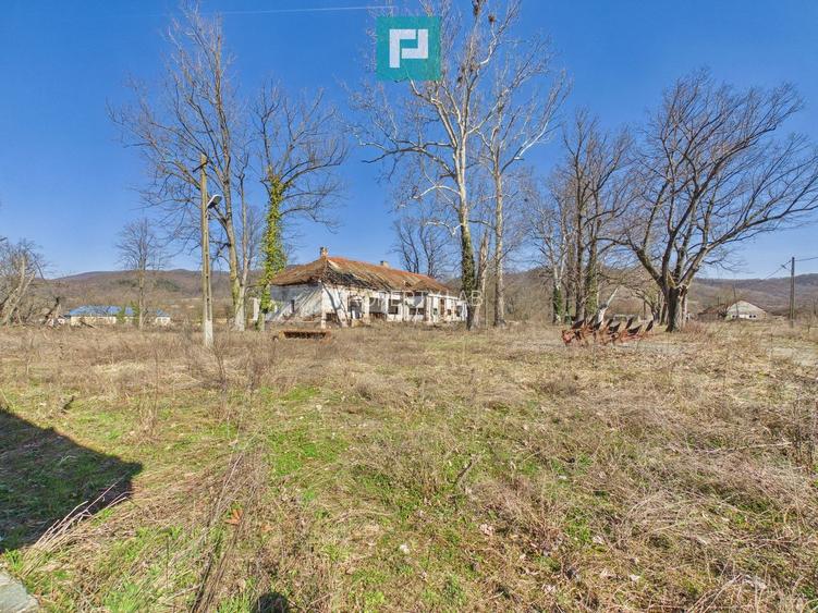 Conac nobiliar de secol XIX cu 8 camere în Maciova - 31