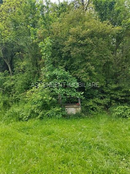 Teren de peste 5.000mp, front la DJ, Valcele, Brasov -- Covasna - 15