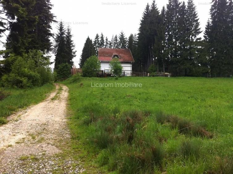 Teren intravilan Cotul Donului,pretabil Hotel/pensiune. - 15