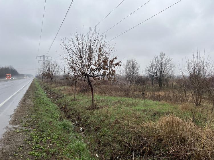 Teren la DN7 - ideal investitie (Benzinarie, spalatorie, hala, rezidential) - 3