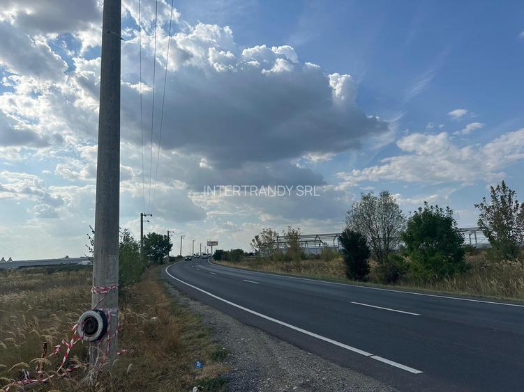 (308) Teren in zona industriala Albota, langa Pitesti / Direct proprietar - 2