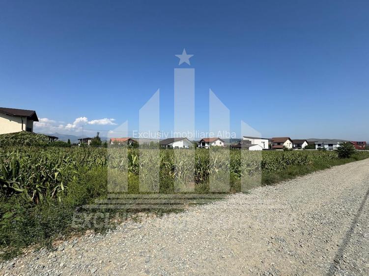 Teren intravilan | De vanzare | 5000 mp | 150 ml deschidere | Micesti - 2