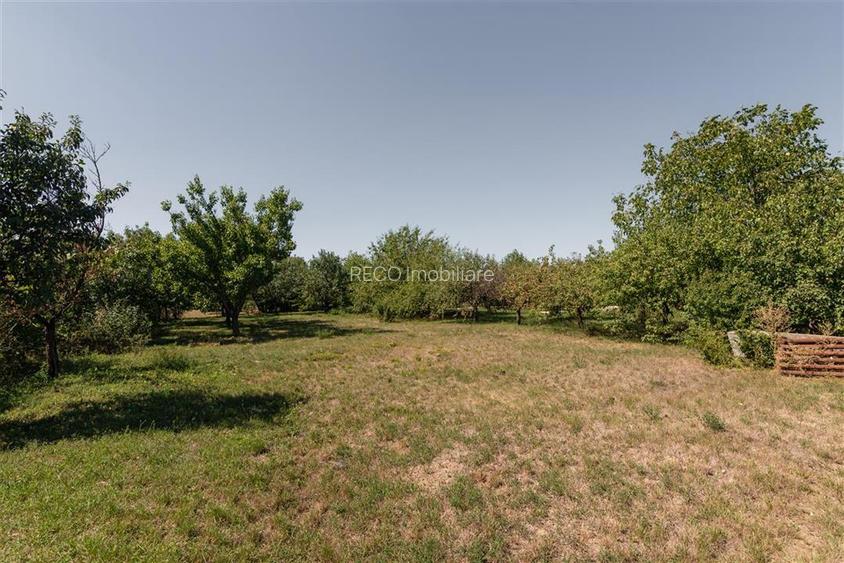 RECO Casa cu Atelier de lucru si teren mare - Santion - 60