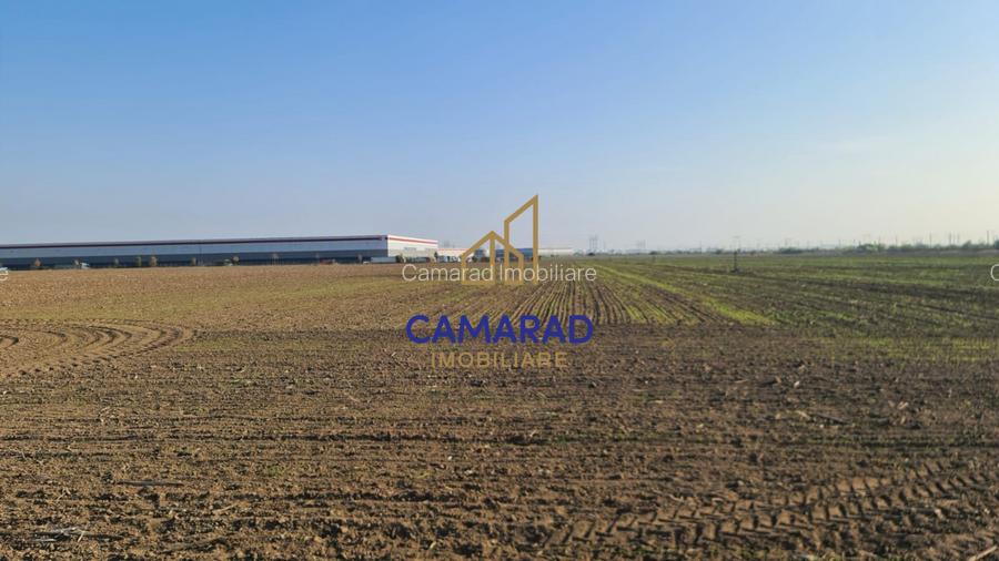 Teren intravilan de vanzare - zona industriala Domnesti/A1 - 2