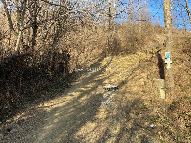 Teren de vanzare 1.622 mp Cornu de sus - 5