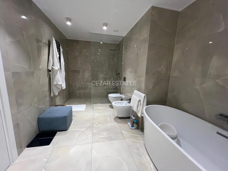 HERASTRAU ONE TOWERS  PENTHOUSE DUPLEX  VEDERE PANORAMICA - 25