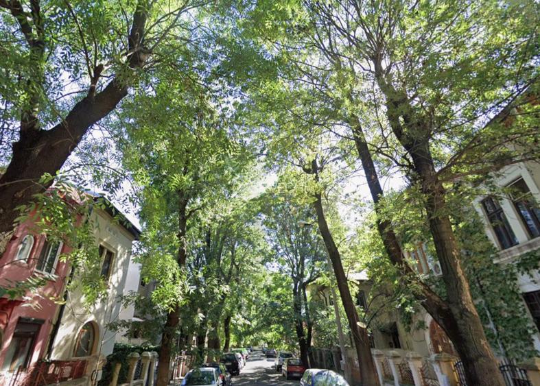 De vrei viață fericită, hai pe-o stradă liniștită! - 7