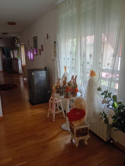 Casă cu venit din chirie, în buricul târgului – locuință + spațiu comercial