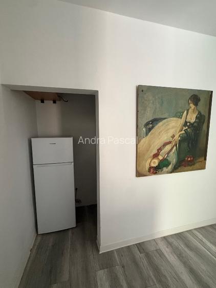 Apartament ultracentral pet friendly Timișoara - 3