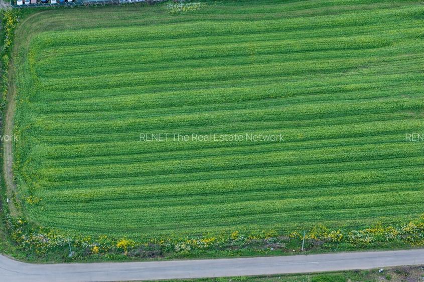 Teren intravilan 7.811 mp | Ciolpani, Ilfov | Acces drum public - 5