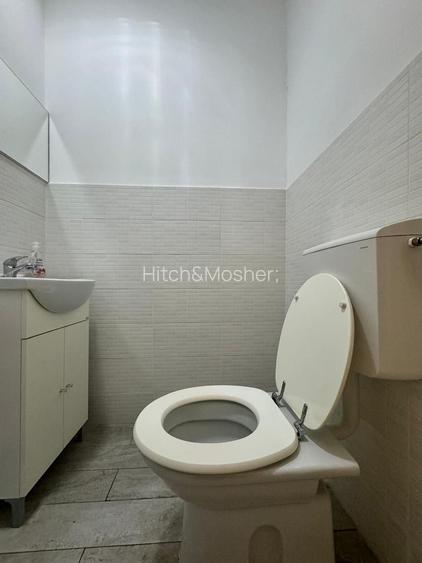 SAD Situat ultracentral, de inchiriat - 10