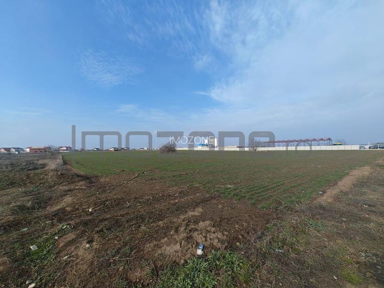 Dragomiresti Valea - Langa Centura, teren 31.200 mp, 35E/mp - 8