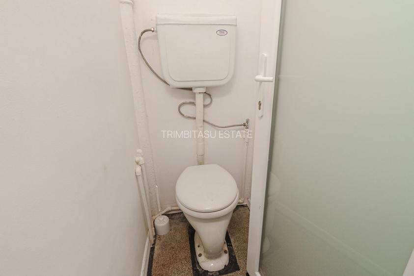 Piata Muncii - Decebal, casa 87 mp totali, 179 mp curte libera, - 29