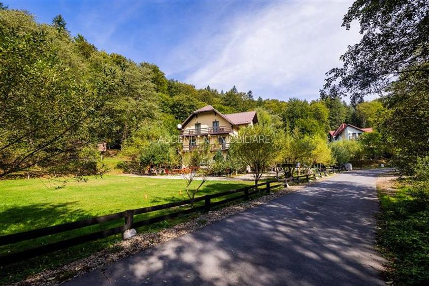 FILM! Pensiune turistica+Casa+transfer afacere+teren,Cheile Rasnoavei,Brasov - 38