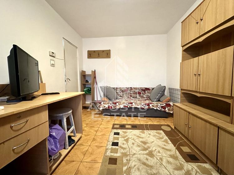 Garsoniera de vanzare in zona Buziasului - 2