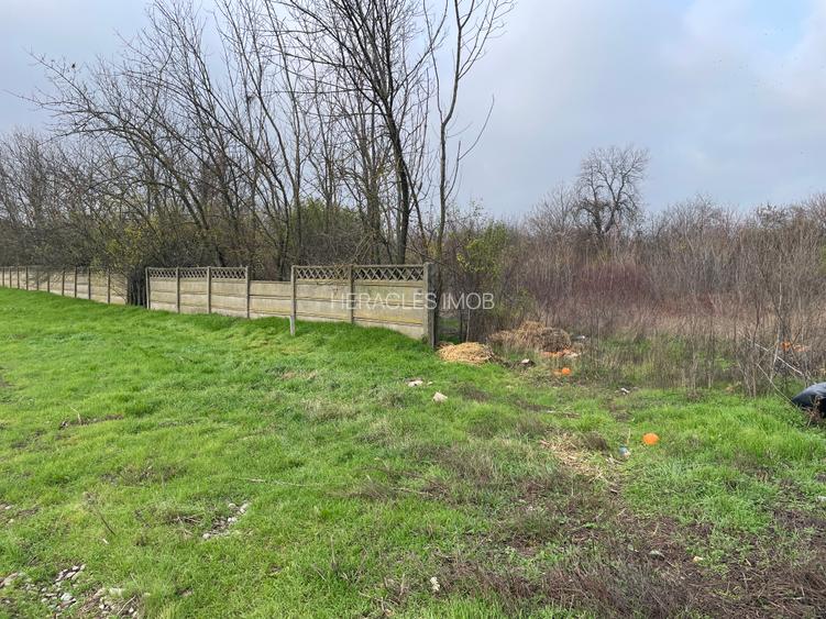 prelungirea ghencea nr 414b,strada floare galbena, - 10