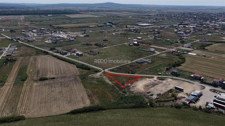 RECO teren Osorhei - 2