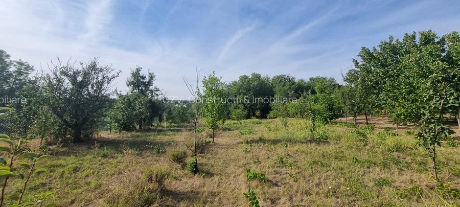 Teren 2000 mp de vânzare – Comana, deschidere la lac, aproape de Parcul Natural - 12