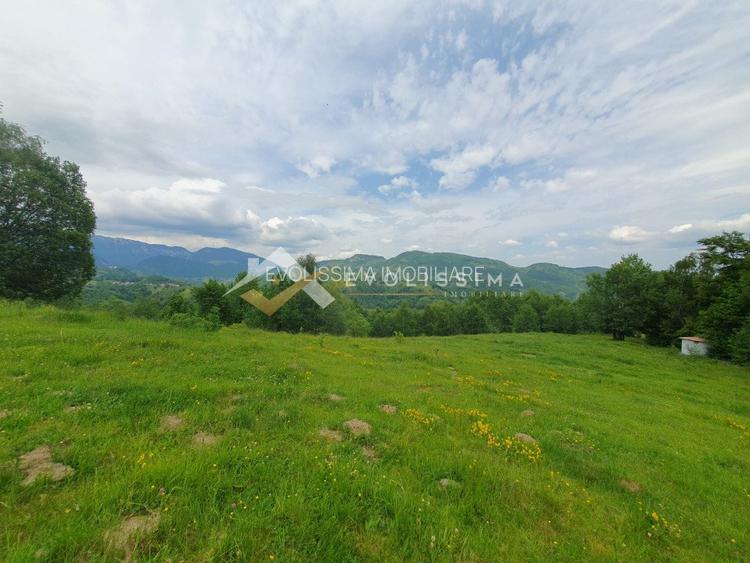 Investitie Teren intravilan 11.396 mp Moieciu de Jos - 9