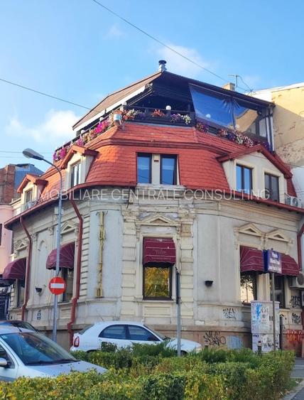 Cismigiu, prieliste superba,  vila consolidata si renovata total. - 2