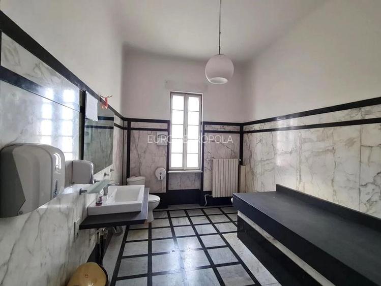 Imobil UNICAT Kiseleff cu 1000mp teren - 11