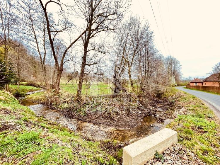 Casa cu potential amenajare pescarie- Zona Varfurile - 25