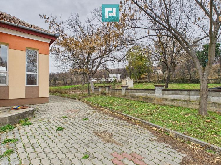 CONAC IMPRESIONANT ÎN GHIOROC - 53