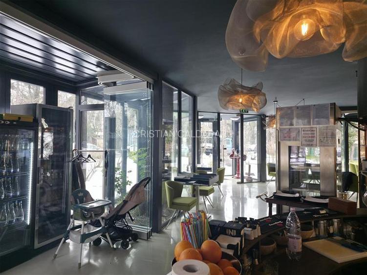 Vanzare spatiu comercial/restaurant/afacere la cheie  Nordului - Herastrau Parc, - 7
