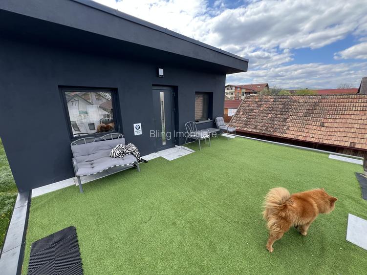 2 Case IDIVIDUALE ,TEREN 1.100 MP , Avram iancu - 12