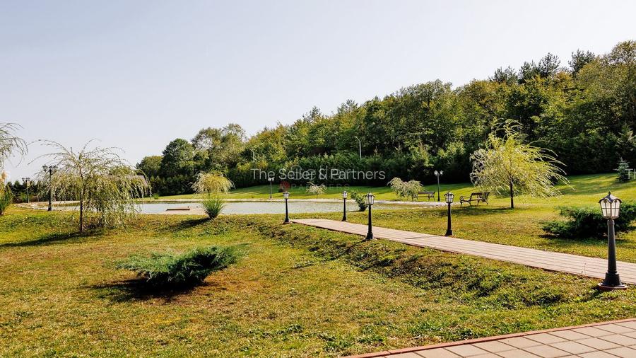 PROPRIETATE DEOSEBITA - LIZIERA PADURII - 33