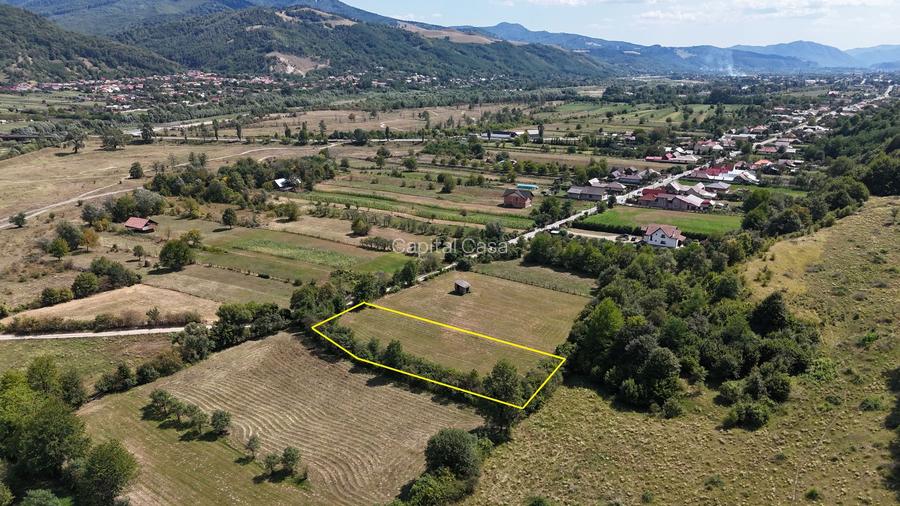 Teren superb de Vanzare in Darmanesti, Bacau - 3