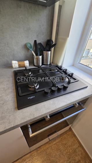 Inchiriere garsoniera Vatra Luminoasa - 12