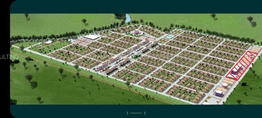 Teren Intravilan Letca Noua DN61 deschidere 235m - 5