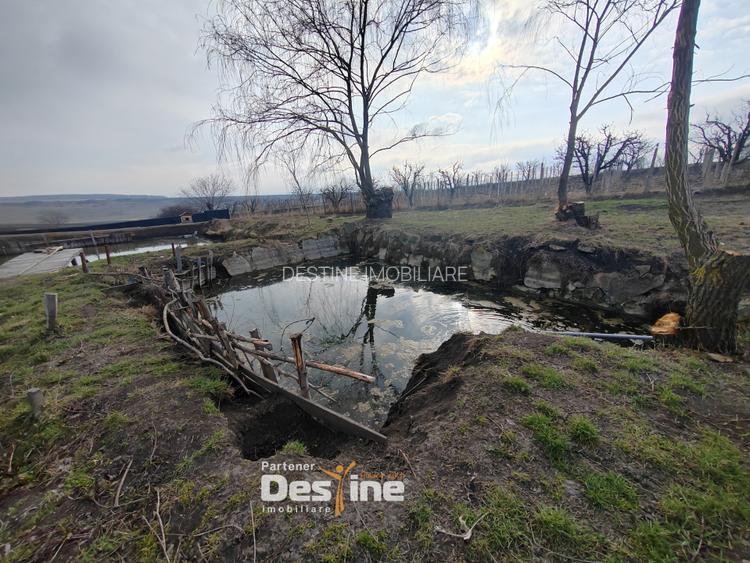 COMISION 0% MOGOSESTI, IASI - Casa individuala 120mp + 1000 mp teren - 17