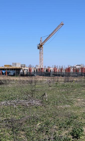 Teren de închiriat în Pipera (Voluntari) – 973 mp | Condiții Excelente pentru Te - 2