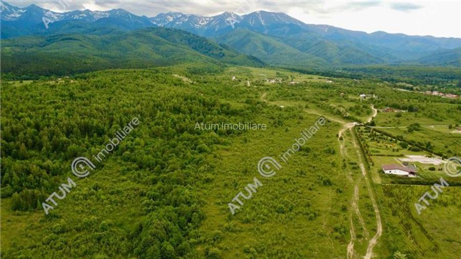 Teren extravilan 2000 mp in Porumbacu de Sus din Sibiu - 3