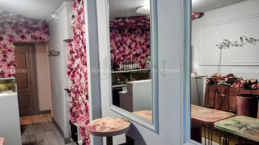 REC3000778 Aviatorilor I Dorobanti I spatiu stradal - 2