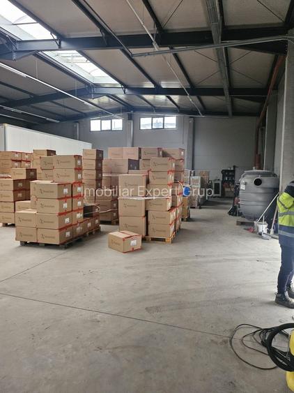 Hala noua 595 mp Pantelimon ( B-dul Biruintei ) - 5