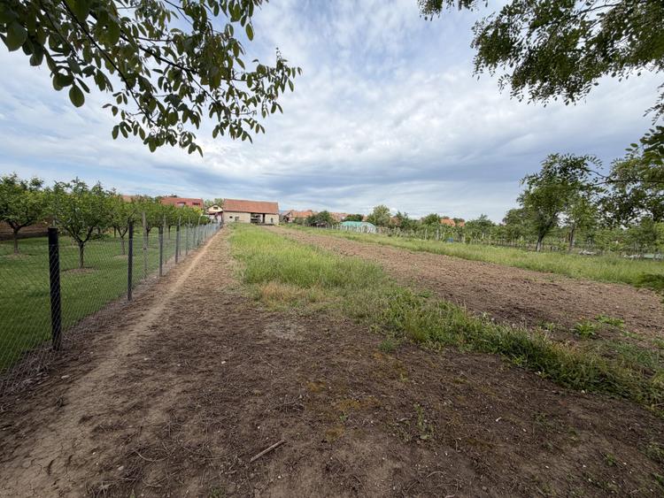 Teren Intravilan 3.514 mp | SAT CIUGUD | Oportunitate | TOATE UTILITATILE |