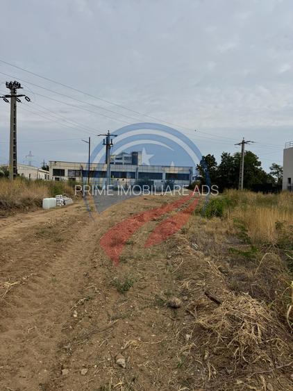 Parcele de teren/Str Ficusului/Damila/Craiova - 5