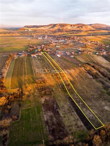 RECO Teren intravilan pentru loc de casa 5342 mp-  sat.Hotar - 8