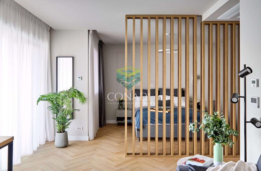 Studio dublu de inchiriat pet friendly Aviatiei - 8