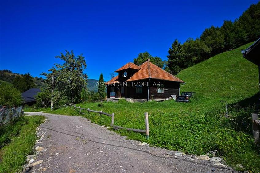 FILM! Proprietate autentica, Bran-Simon, 4.300 mp teren, casa traditionala + ane - 9
