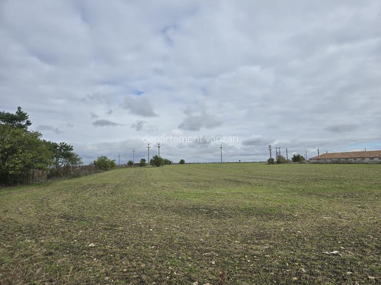 Amzacea- sat G. Scarisoreanu -Ferma zootehnica , 5,1 hectare - 5