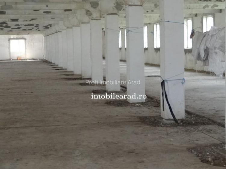 Teren 18.400 mp cu 4 hale P+E pe Artera principala vizavi de Metro-Momax - 37