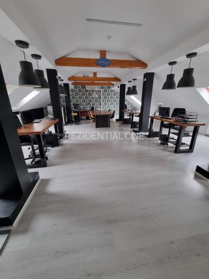 Spatii de Birou la Cheie - 5