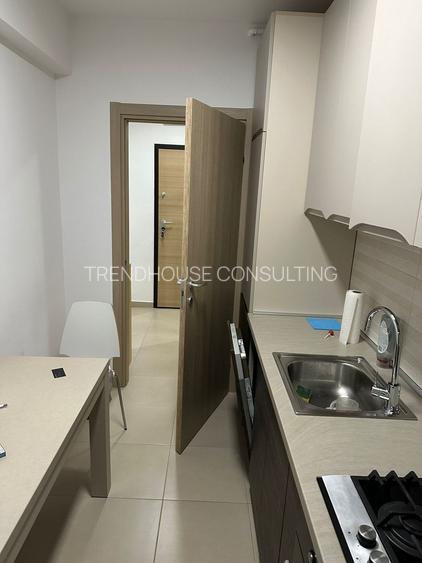 Inchiriere Apartament Elegant cu 2 Camere Baneasa-Greenfield-Parcare - 13